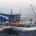Kapal Penangkap Ikan Tuna Asal Bitung Ditangkap di Maluku Utara
