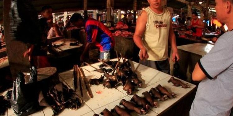 Desak Jokowi Setop Konsumsi dan Jual BeliSatwa Liar