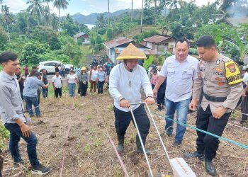 Wawali Bitung Randito Maringka, Menanam Jagung, Menggunakan Alat Cultivator