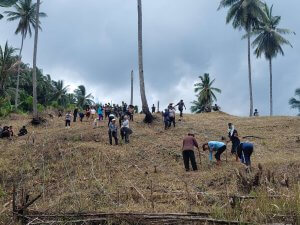 Jemaat GMIM Eklesia Makawidey Sementara Menanam Jagung