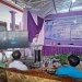 Hengky Honandar : Masa Depan Kota Bitung, Ada Pada Anak Anak Muda Yang Jauh Dari Penyalahgunaan EhaBond